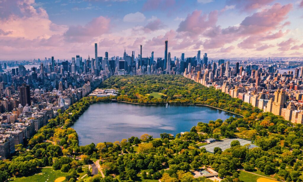 Fractional CFO in New York City, NY
